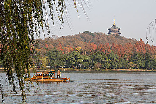 soi cau 2 nhay rong bach kim