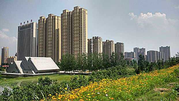 cau rong bạch kim