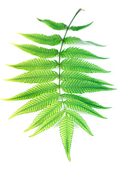 xổ xổ số miền nam