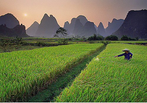số vũng tàu