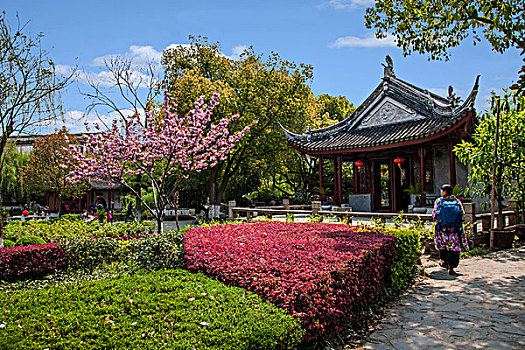 lo bach thủ