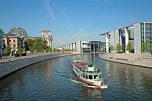 soi cau bach thu