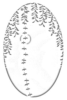 xs bình định