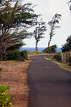 soi cau binh dinh