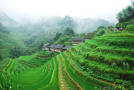 xổ số miền bắc ngày thứ sáu