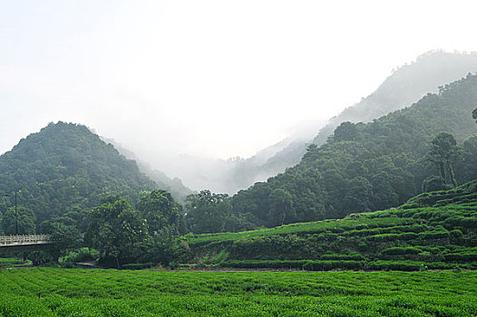 xổ số ngày nay