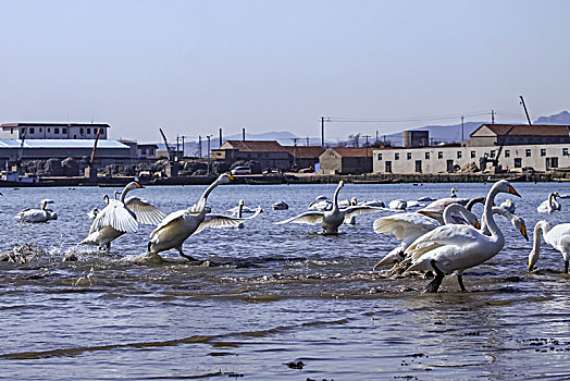 kqxs ha noi