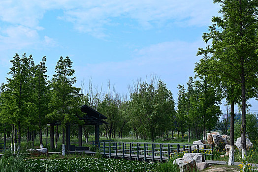 tỷ lệ bong88