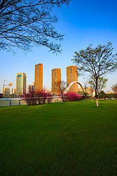 bạch thủ lô tô