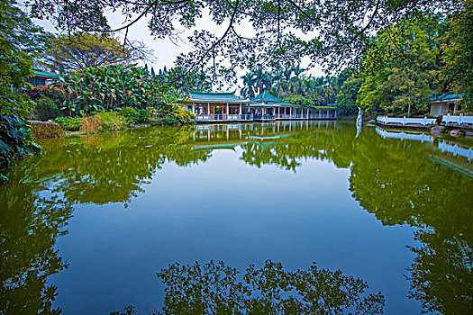 camera ngụy trang v99 pro