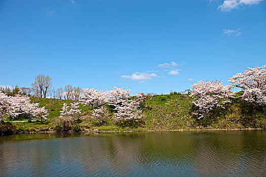 xổ số kon tum