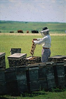quả xổ số