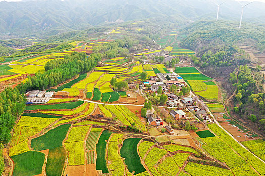 vip miền bắc