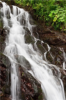 soi cau binh dinh 3s