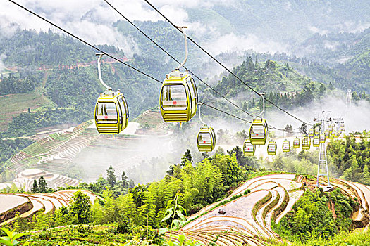 soi cau xsmb rong bạch kim