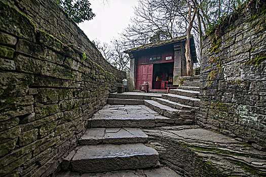 bạch thủ hôm nay