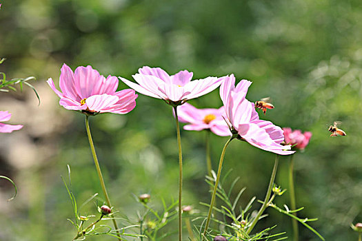 xổ số thủ đô