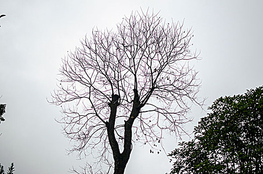 phân tích lô đề hôm nay