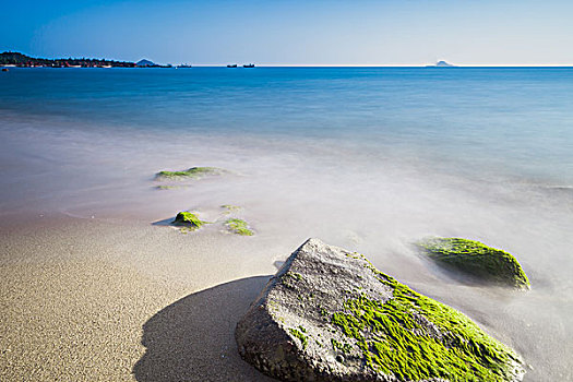 bạch thủ đề