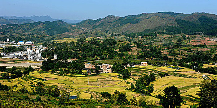 soi cau lo de chuan mb