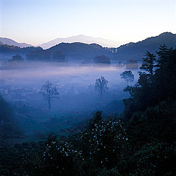 du doan soi cau mb