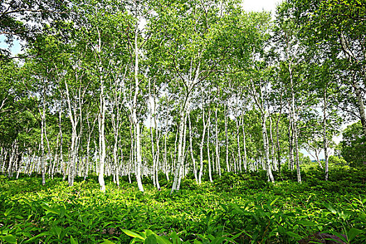 cách chơi lô không bao giờ thua