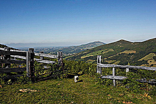 dudoanketquaxoso