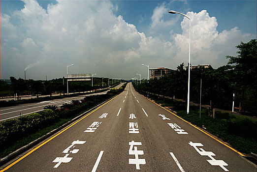cầu bạch thủ miền bắc