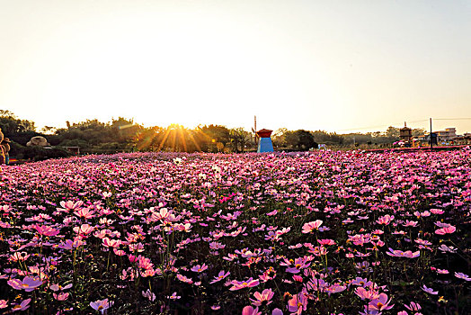 đổi thưởng vua chơi bài