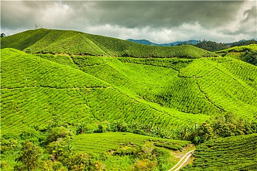 trực tiếp xổ số an giang