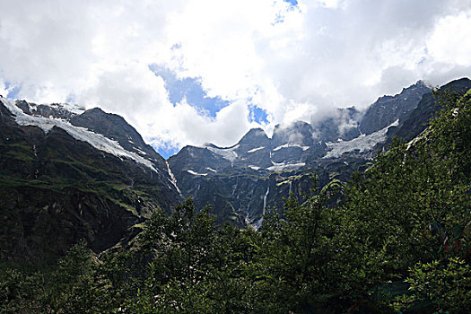 lo rong bach kim