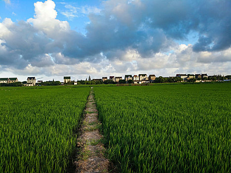 các dàn đề