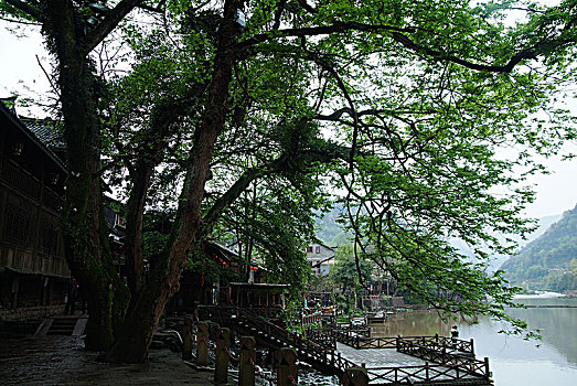 soi cau xien 3 vip