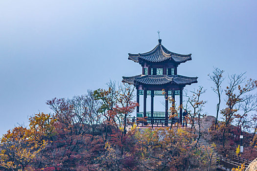 soi cau bdinh
