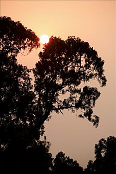 dụ đoán xsmb