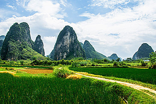 ghi số đề online
