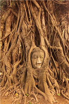 xổ số bạch thủ