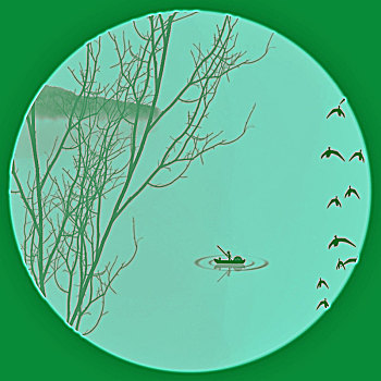 soi cau vang 6789