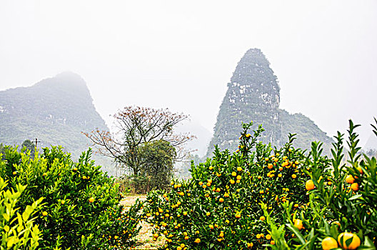 xổ số bạc liêu
