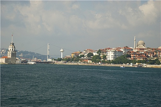 cầu bạch thủ 247