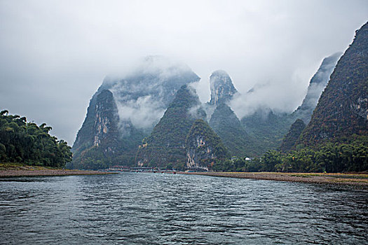 bạch thu lo de