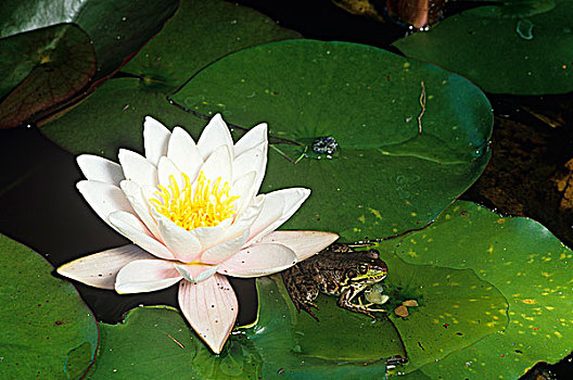 xổ số thứ tư tuần trước