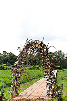 xổ số phương trang