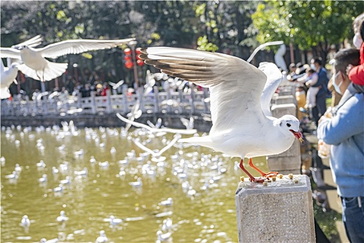 xổ số an giang trực tiếp