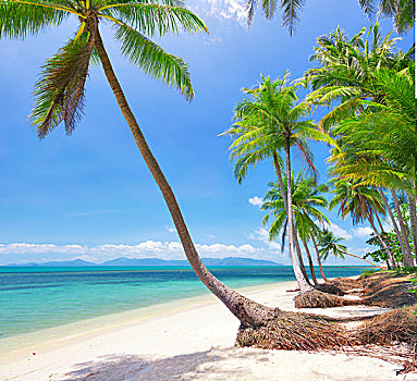 soi cau lo xo so vung tau ngay hom nay