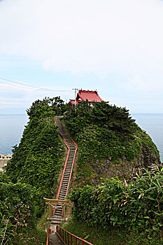 soi rong bạch kim