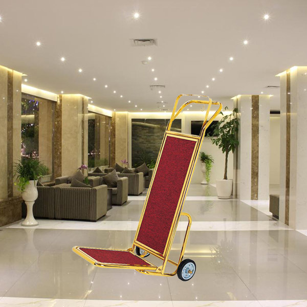 Xe đẩy hành lý loại 2 bánh